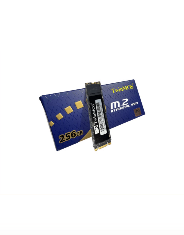 SSD Disk - SSD TWINMOSS 256GB M.2